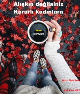 AskYeri.NET - Alışkın değilsiniz - Şiir MaVZeR